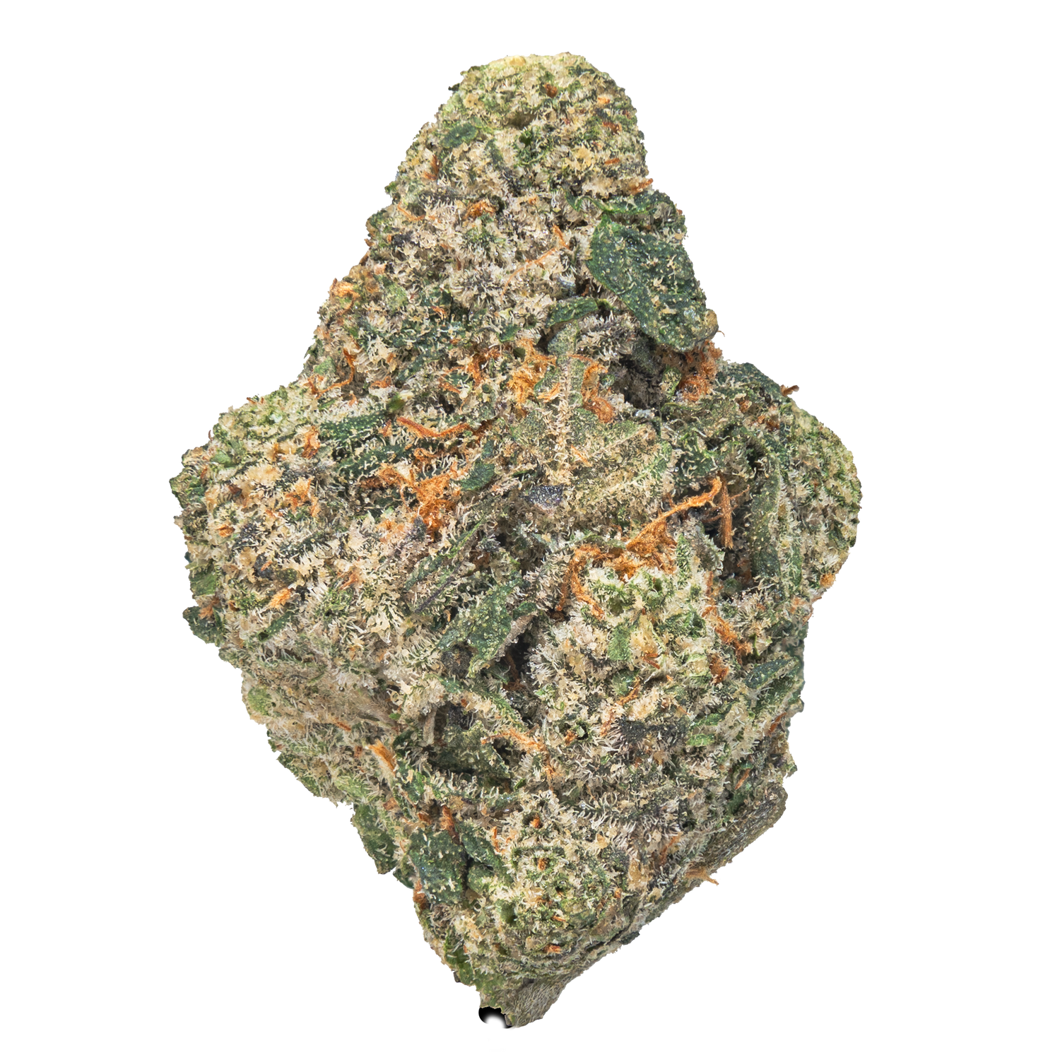 Gelatti wham strain Lowez