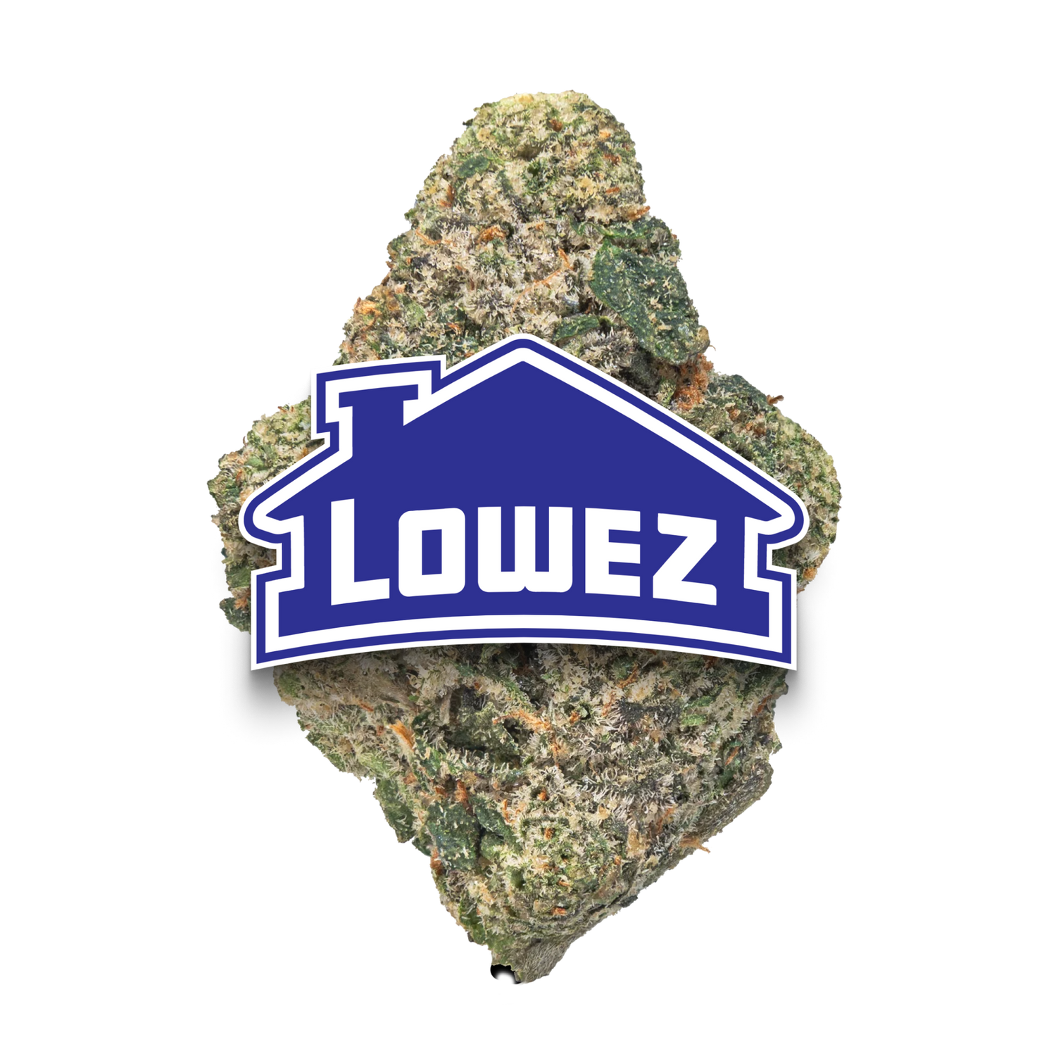 Gelatti Lowez wham strain