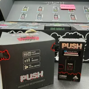 Push 2G Disposable Vape